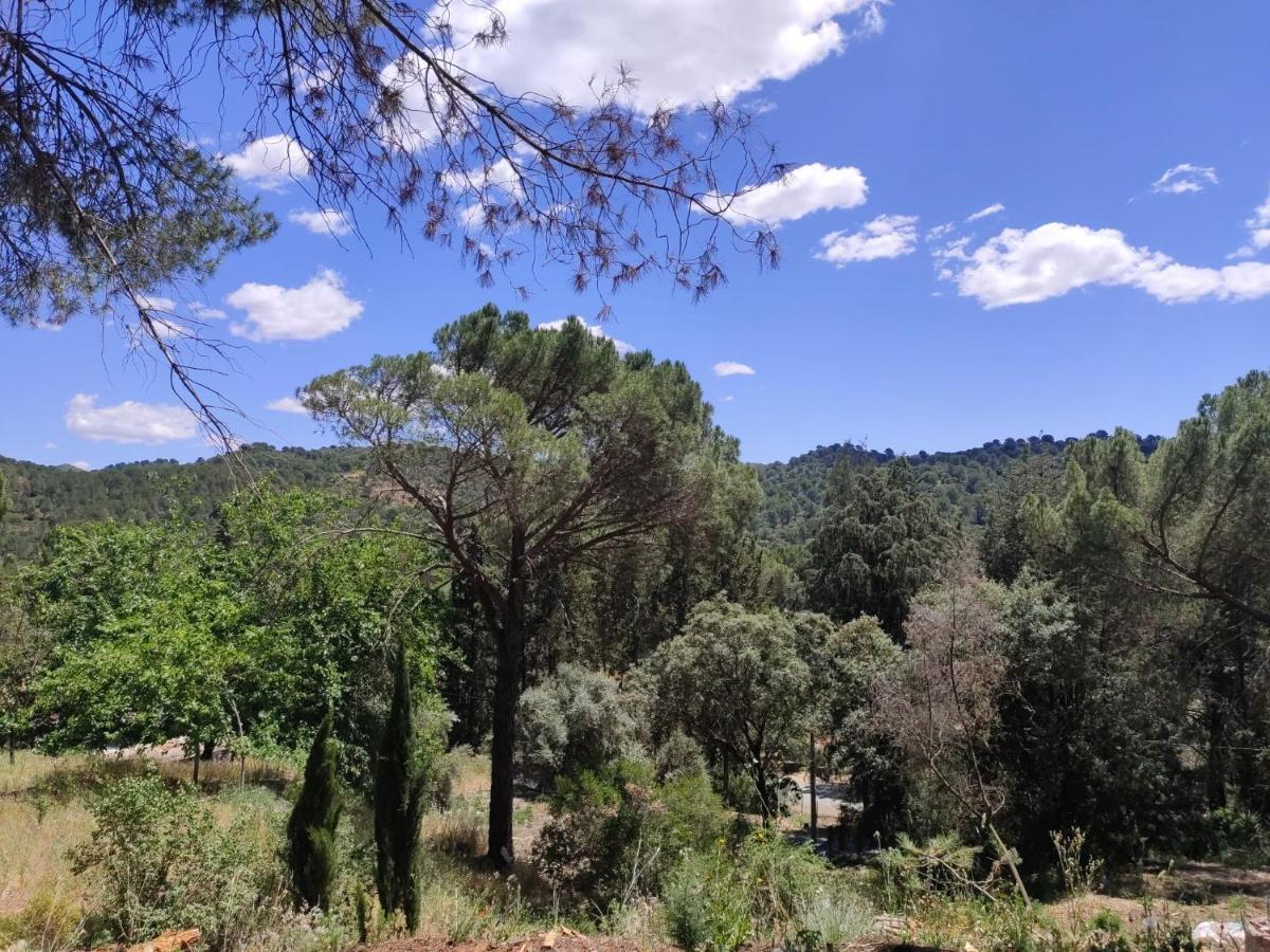 Villa Bonita Casa Blanca En El Bosque. Cordova Esterno foto
