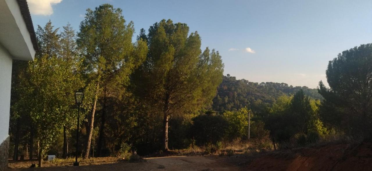 Villa Bonita Casa Blanca En El Bosque. Cordova Esterno foto