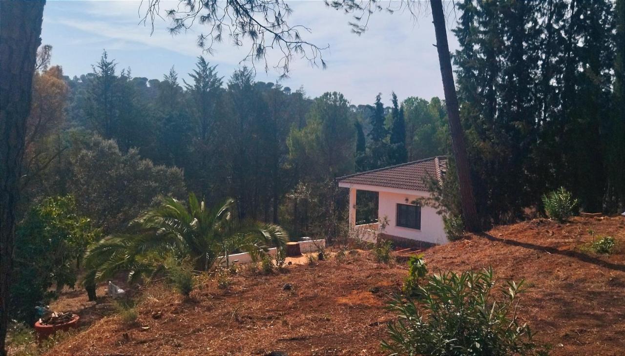 Villa Bonita Casa Blanca En El Bosque. Cordova Esterno foto