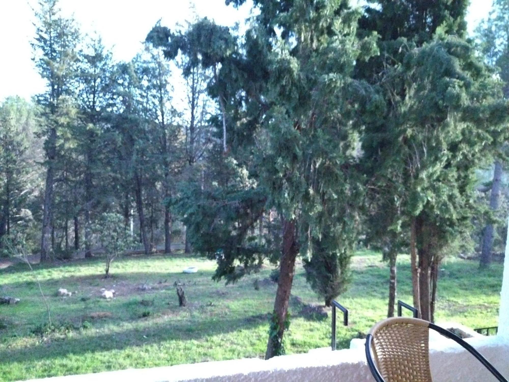 Villa Bonita Casa Blanca En El Bosque. Cordova Esterno foto