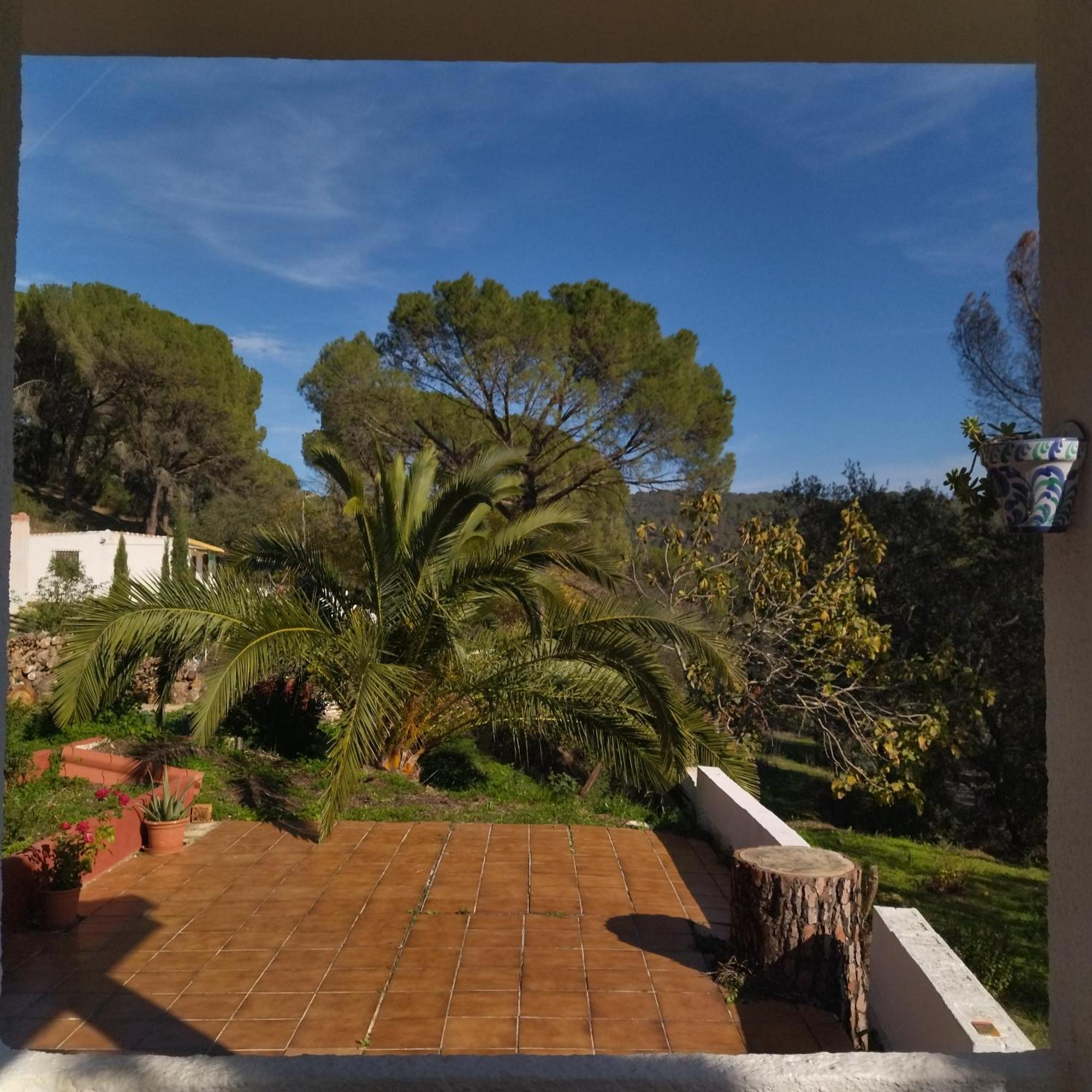 Villa Bonita Casa Blanca En El Bosque. Cordova Esterno foto
