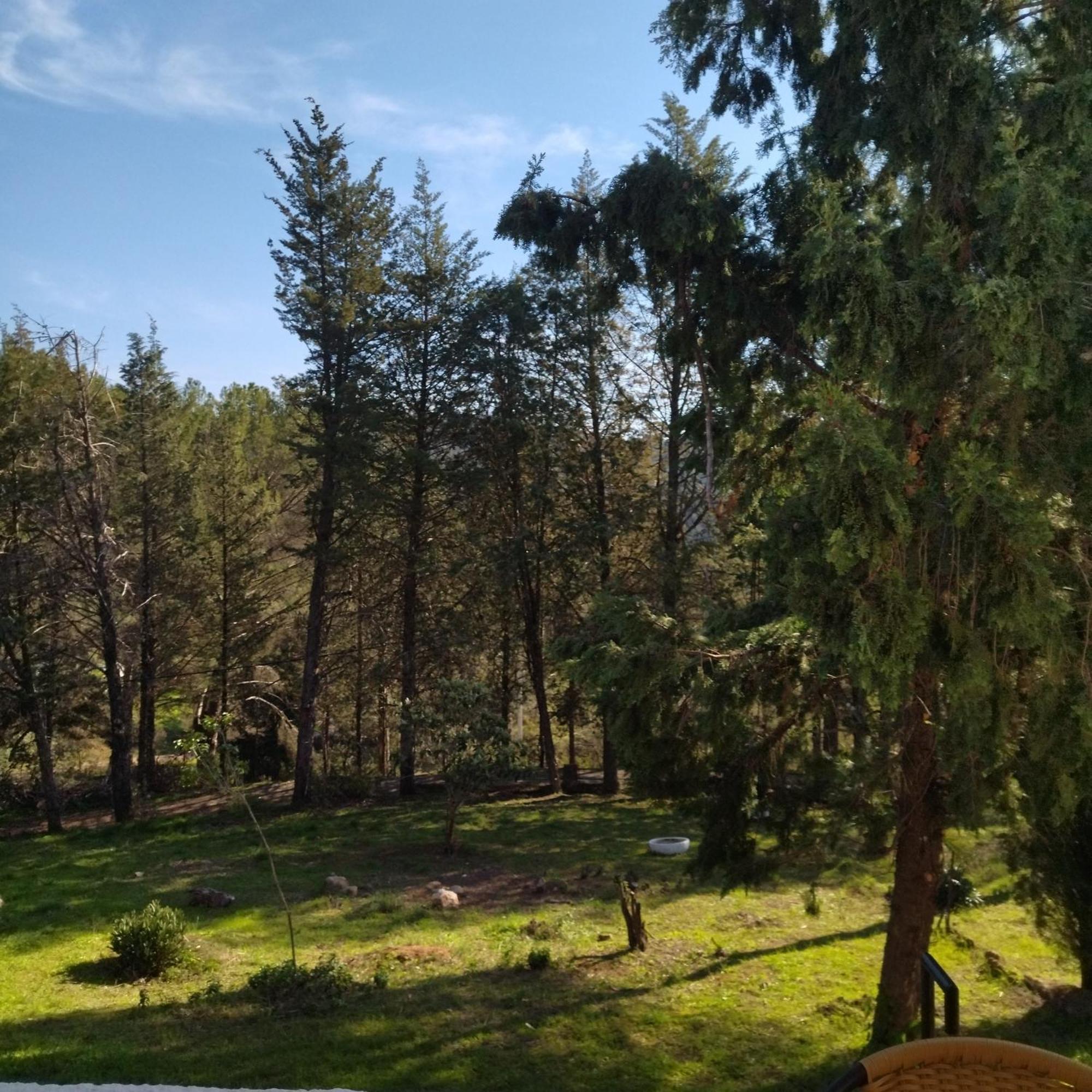 Villa Bonita Casa Blanca En El Bosque. Cordova Esterno foto