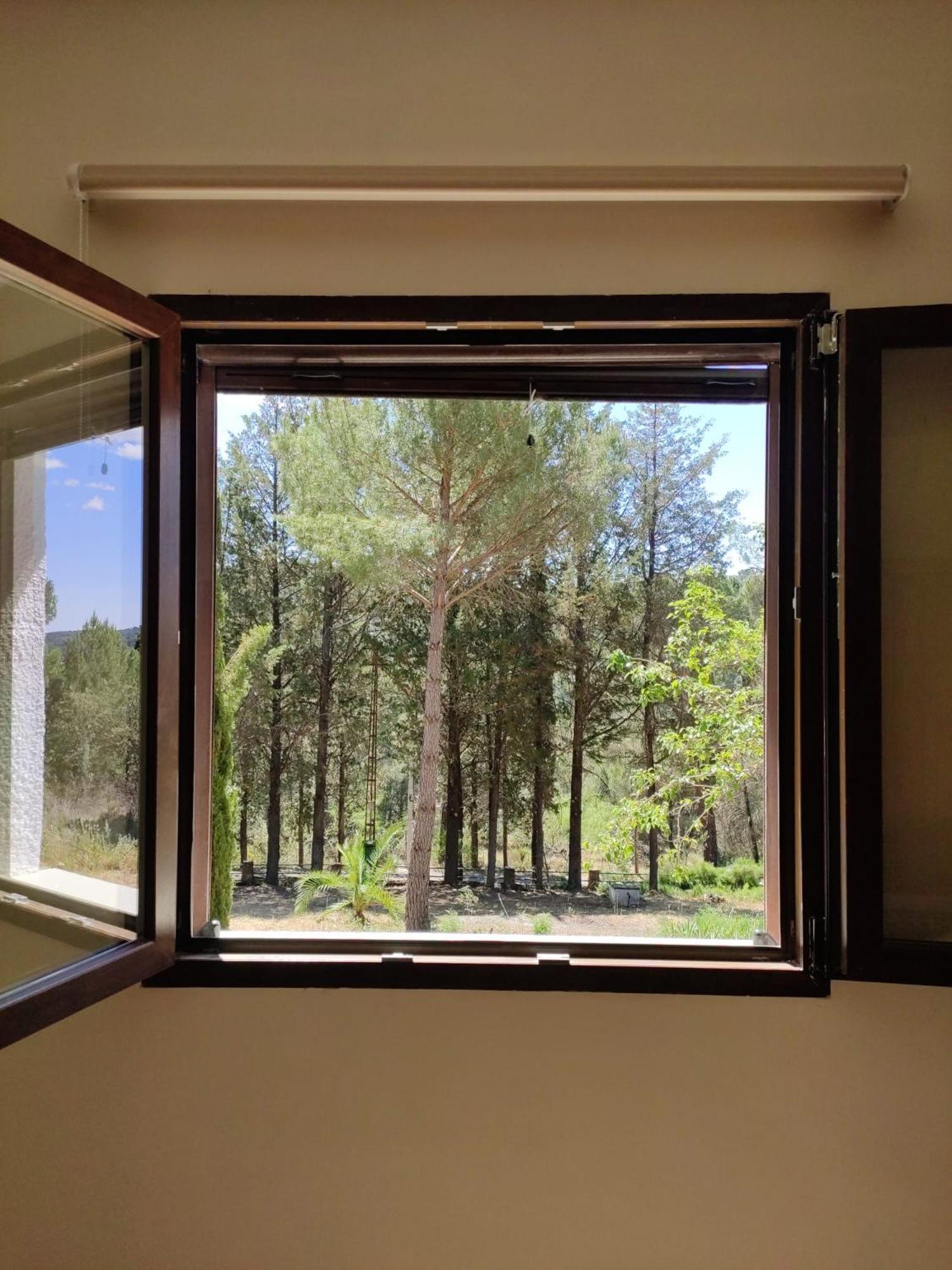 Villa Bonita Casa Blanca En El Bosque. Cordova Esterno foto