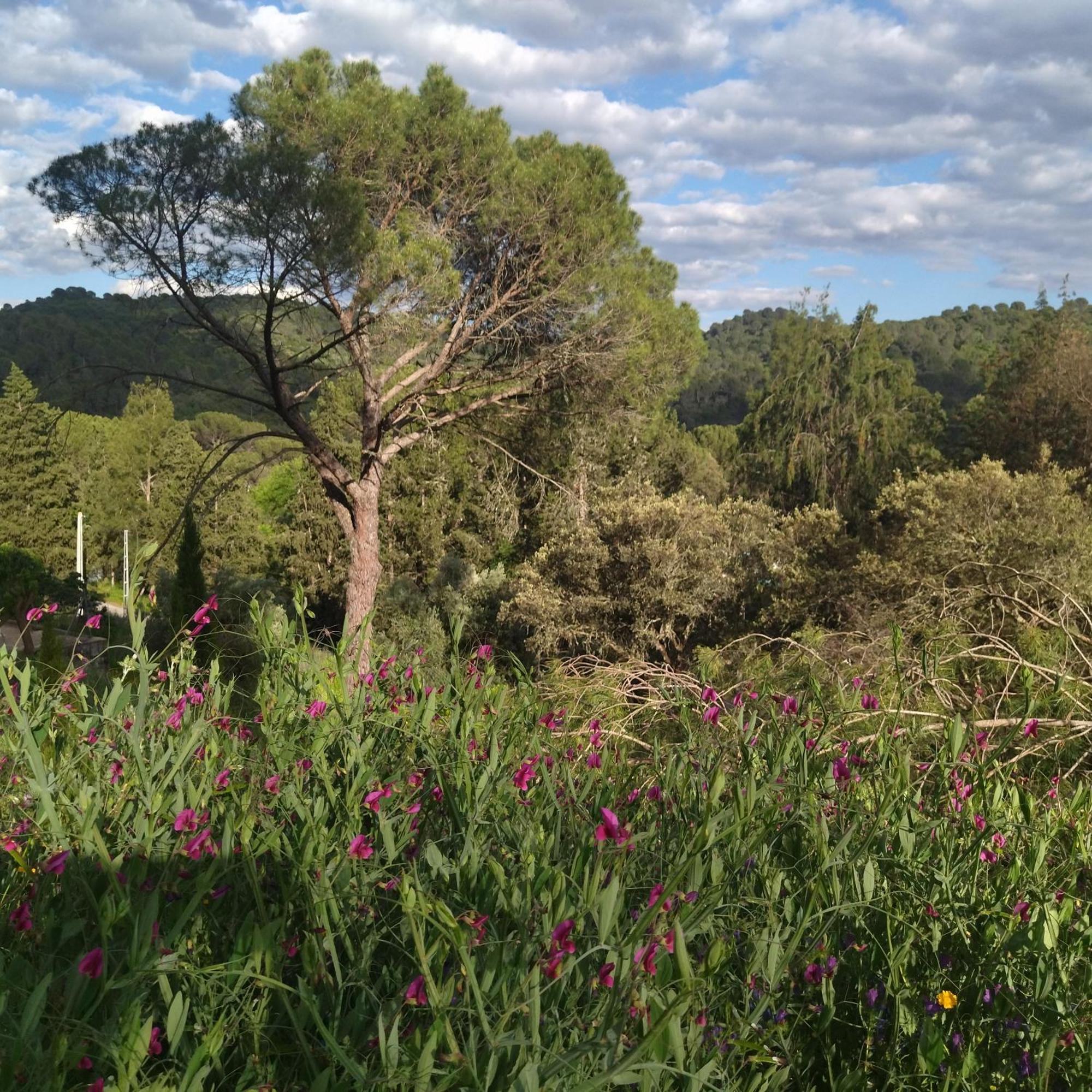 Villa Bonita Casa Blanca En El Bosque. Cordova Esterno foto